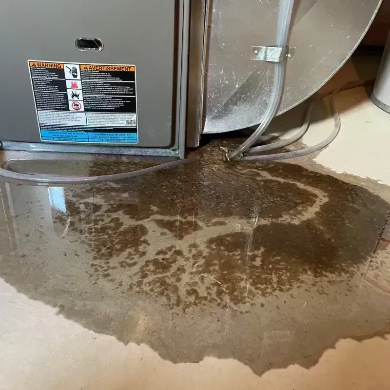 Appliance Leak Cleanup in Bayfield, CO